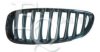 BMW 51137181548 Radiator Grille